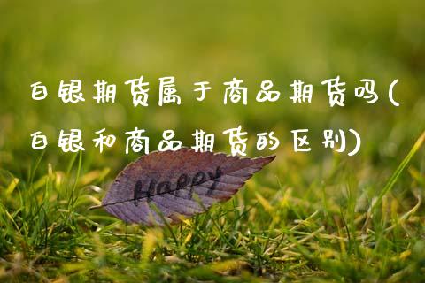 白银期货属于商品期货吗(白银和商品期货的区别)_https://www.zztgc.com_期货开户_第1张