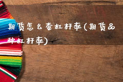 期货怎么查杠杆率(期货品种杠杆率)_https://www.zztgc.com_期货直播_第1张