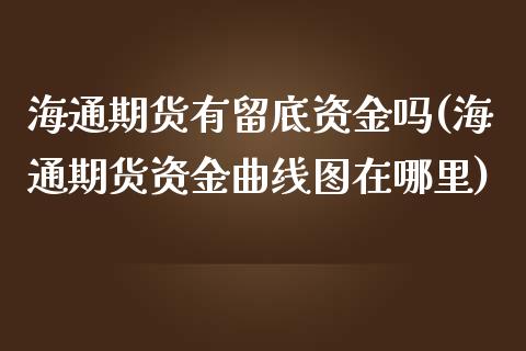海通期货有留底资金吗(海通期货资金曲线图在哪里)_https://www.zztgc.com_原油期货_第1张