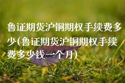 鲁证期货沪铜期权手续费多少(鲁证期货沪铜期权手续费多少钱一个月)_https://www.zztgc.com_期货开户_第1张