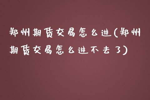 郑州期货交易怎么进(郑州期货交易怎么进不去了)_https://www.zztgc.com_期货行情_第1张