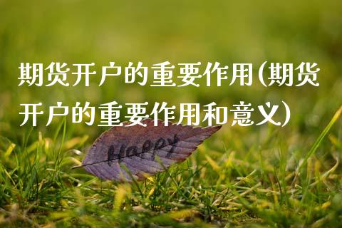 期货开户的重要作用(期货开户的重要作用和意义)_https://www.zztgc.com_黄金期货_第1张