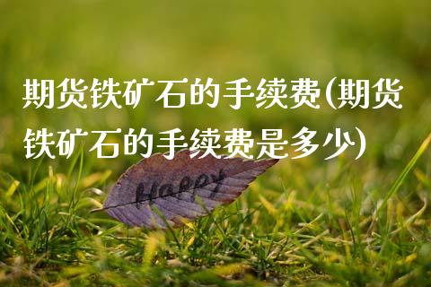 期货铁矿石的手续费(期货铁矿石的手续费是多少)_https://www.zztgc.com_黄金期货_第1张