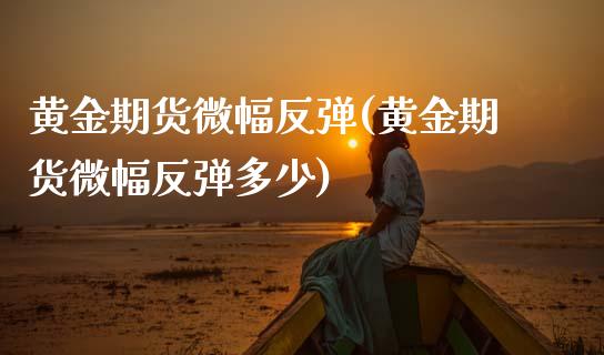 黄金期货微幅反弹(黄金期货微幅反弹多少)_https://www.zztgc.com_原油期货_第1张