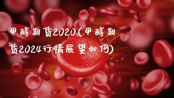 甲醇期货2020(甲醇期货2024行情展望如何)_https://www.zztgc.com_黄金期货_第1张