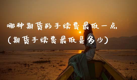 哪种期货的手续费最低一点(期货手续费最低是多少)_https://www.zztgc.com_期货直播_第1张