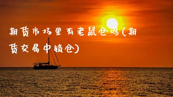 期货市场里有老鼠仓吗(期货交易中锁仓)_https://www.zztgc.com_黄金期货_第1张