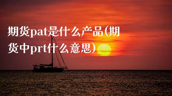 期货pat是什么产品(期货中prt什么意思)_https://www.zztgc.com_期货开户_第1张