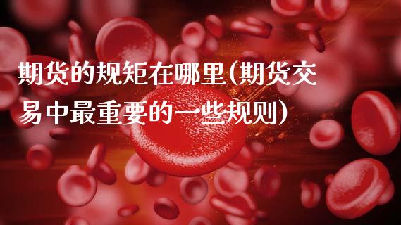 期货的规矩在哪里(期货交易中最重要的一些规则)_https://www.zztgc.com_期货行情_第1张