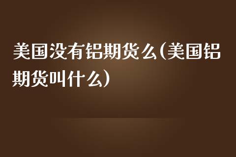 美国没有铝期货么(美国铝期货叫什么)_https://www.zztgc.com_原油期货_第1张