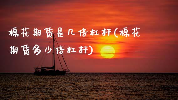 棉花期货是几倍杠杆(棉花期货多少倍杠杆)_https://www.zztgc.com_期货行情_第1张