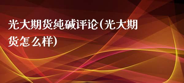 光大期货纯碱评论(光大期货怎么样)_https://www.zztgc.com_原油期货_第1张