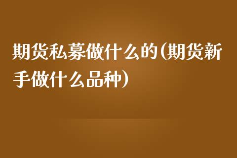 期货私募做什么的(期货新手做什么品种)_https://www.zztgc.com_期货入门_第1张