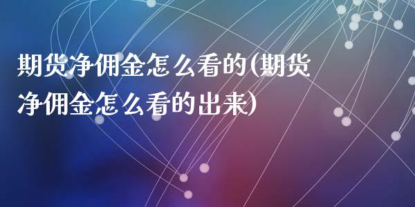 期货净佣金怎么看的(期货净佣金怎么看的出来)_https://www.zztgc.com_期货行情_第1张