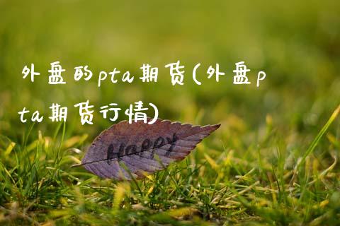 外盘的pta期货(外盘pta期货行情)_https://www.zztgc.com_期货直播_第1张