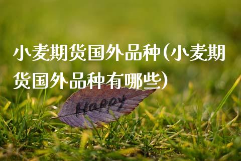 小麦期货国外品种(小麦期货国外品种有哪些)_https://www.zztgc.com_期货入门_第1张