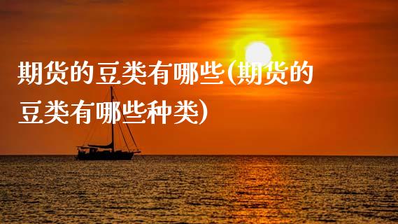期货的豆类有哪些(期货的豆类有哪些种类)_https://www.zztgc.com_期货直播_第1张