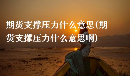 期货支撑压力什么意思(期货支撑压力什么意思啊)_https://www.zztgc.com_期货入门_第1张