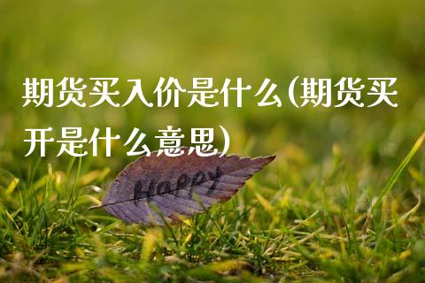 期货买入价是什么(期货买开是什么意思)_https://www.zztgc.com_期货入门_第1张