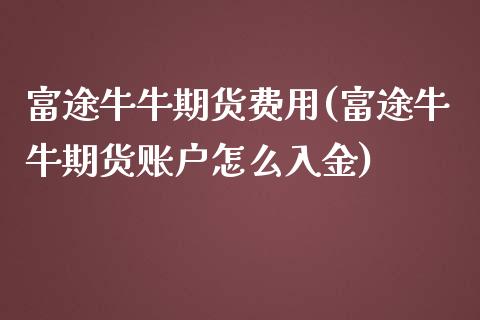 富途牛牛期货费用(富途牛牛期货账户怎么入金)_https://www.zztgc.com_期货入门_第1张