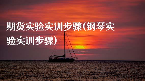 期货实验实训步骤(钢琴实验实训步骤)_https://www.zztgc.com_黄金期货_第1张