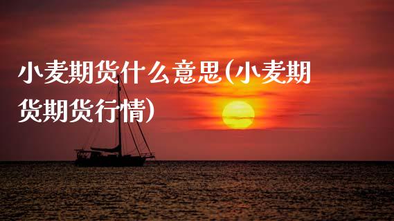 小麦期货什么意思(小麦期货期货行情)_https://www.zztgc.com_黄金期货_第1张
