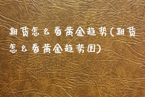 期货怎么看黄金趋势(期货怎么看黄金趋势图)_https://www.zztgc.com_黄金期货_第1张