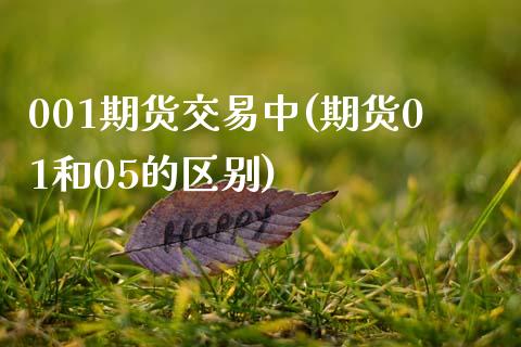 001期货交易中(期货01和05的区别)_https://www.zztgc.com_期货入门_第1张