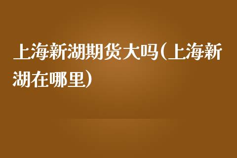 上海新湖期货大吗(上海新湖在哪里)_https://www.zztgc.com_期货行情_第1张