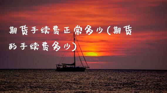 期货手续费正常多少(期货的手续费多少)_https://www.zztgc.com_期货入门_第1张