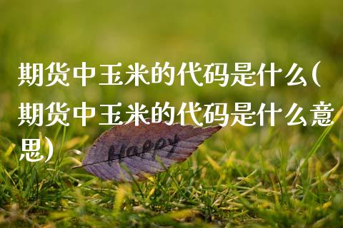 期货中玉米的代码是什么(期货中玉米的代码是什么意思)_黄金期货_第1张_珍投期货网 期货中玉米的代码是什么(期货中玉米的代码是什么意思)_https://www.zztgc.com_黄金期货_第1张