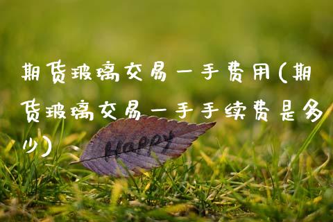 期货玻璃交易一手费用(期货玻璃交易一手手续费是多少)_https://www.zztgc.com_期货直播_第1张