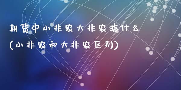 期货中小非农大非农指什么(小非农和大非农区别)_https://www.zztgc.com_期货行情_第1张