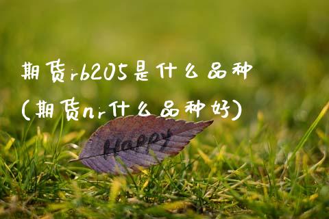 期货rb205是什么品种(期货nr什么品种好)_https://www.zztgc.com_期货开户_第1张