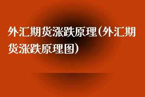 外汇期货涨跌原理(外汇期货涨跌原理图)_https://www.zztgc.com_期货行情_第1张