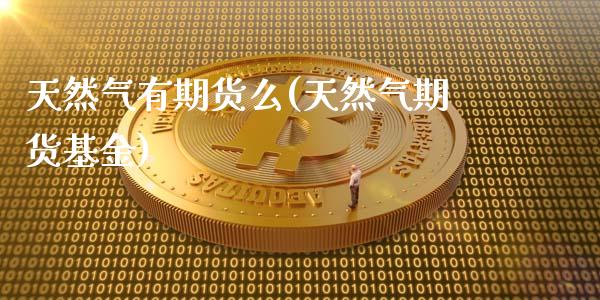 天然气有期货么(天然气期货基金)_https://www.zztgc.com_期货直播_第1张