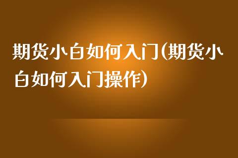 期货小白如何入门(期货小白如何入门操作)_https://www.zztgc.com_期货入门_第1张