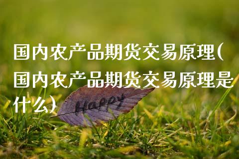 国内农产品期货交易原理(国内农产品期货交易原理是什么)_https://www.zztgc.com_期货行情_第1张