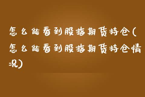 怎么能看到股指期货持仓(怎么能看到股指期货持仓情况)_https://www.zztgc.com_期货行情_第1张
