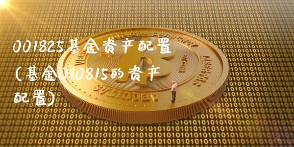 001825基金资产配置(基金010815的资产配置)_https://www.zztgc.com_期货入门_第1张