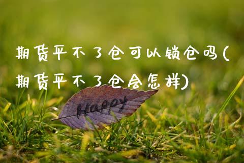 期货平不了仓可以锁仓吗(期货平不了仓会怎样)_https://www.zztgc.com_原油期货_第1张
