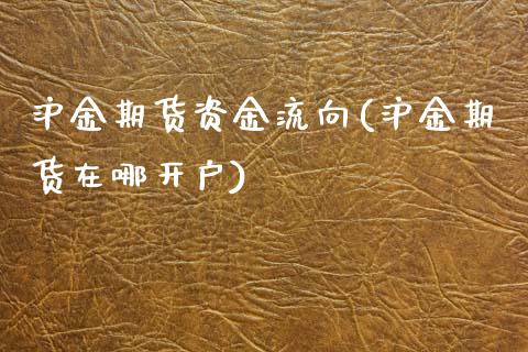 沪金期货资金流向(沪金期货在哪开户)_https://www.zztgc.com_期货开户_第1张