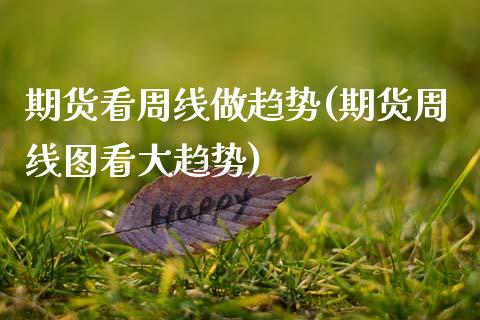 期货看周线做趋势(期货周线图看大趋势)_https://www.zztgc.com_期货行情_第1张
