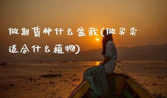 做期货种什么盆栽(做买卖适合什么植物)_https://www.zztgc.com_期货入门_第1张