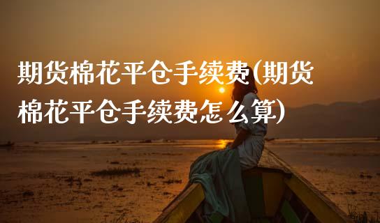 期货棉花平仓手续费(期货棉花平仓手续费怎么算)_https://www.zztgc.com_黄金期货_第1张