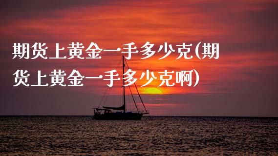 期货上黄金一手多少克(期货上黄金一手多少克啊)_https://www.zztgc.com_黄金期货_第1张
