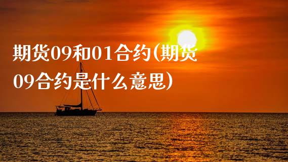 期货09和01合约(期货09合约是什么意思)_https://www.zztgc.com_期货入门_第1张