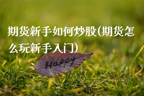 期货新手如何炒股(期货怎么玩新手入门)_https://www.zztgc.com_期货直播_第1张