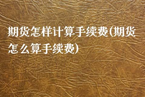 期货怎样计算手续费(期货怎么算手续费)_https://www.zztgc.com_期货行情_第1张