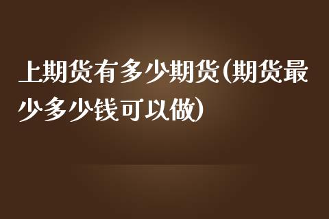 上期货有多少期货(期货最少多少钱可以做)_https://www.zztgc.com_期货入门_第1张